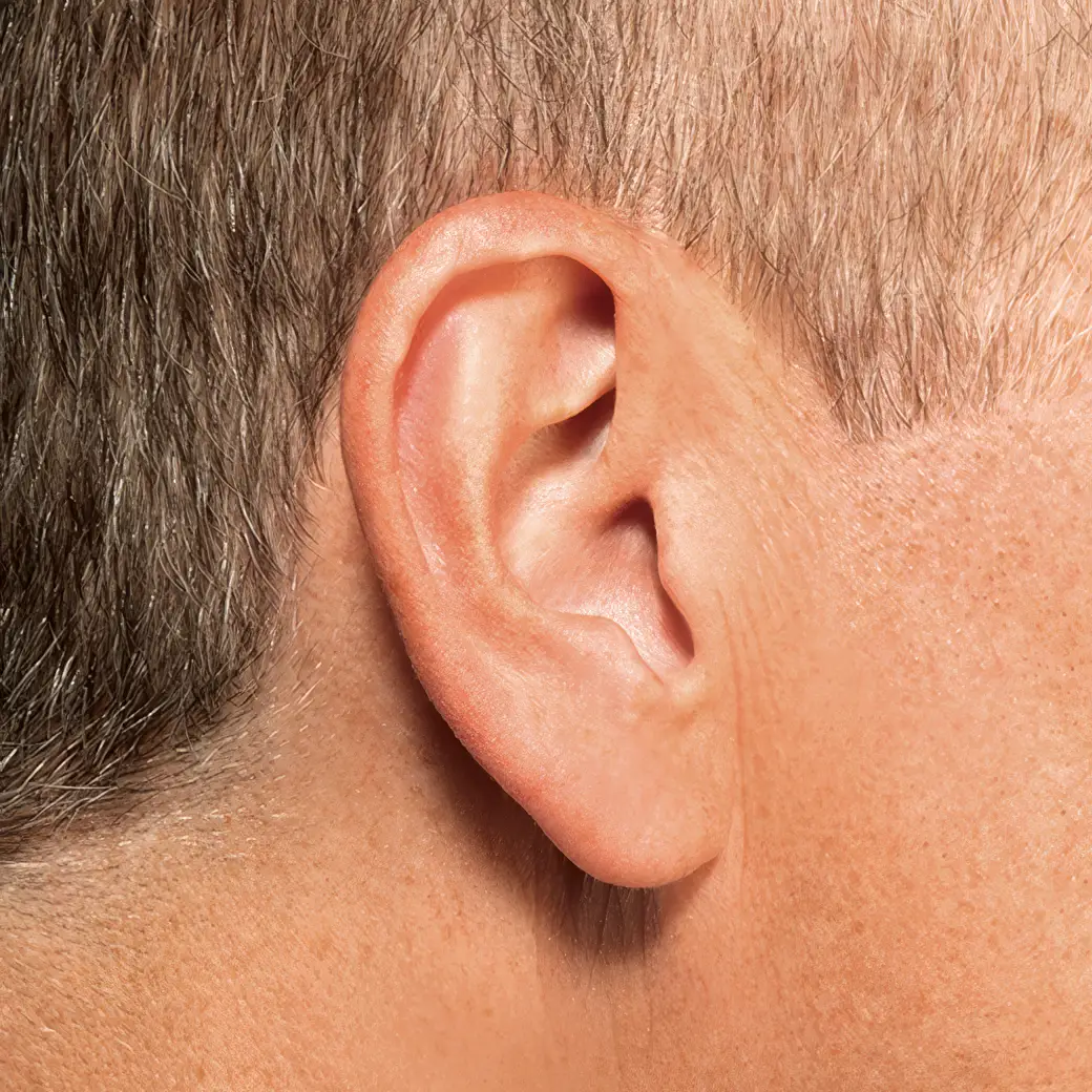 Close-up of a human ear from the side, highlighting its shape and texture against short hair.